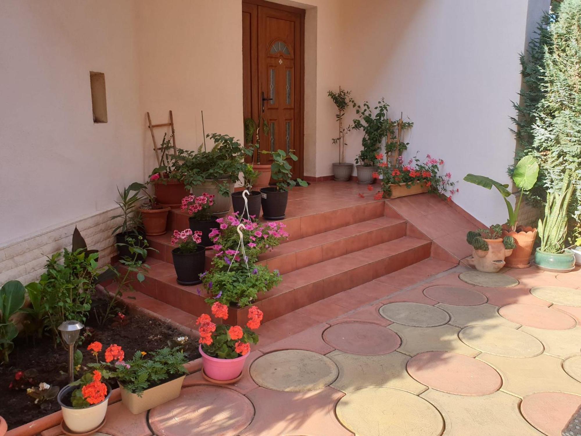 Hotel Casa Mary Costinesti Exterior foto
