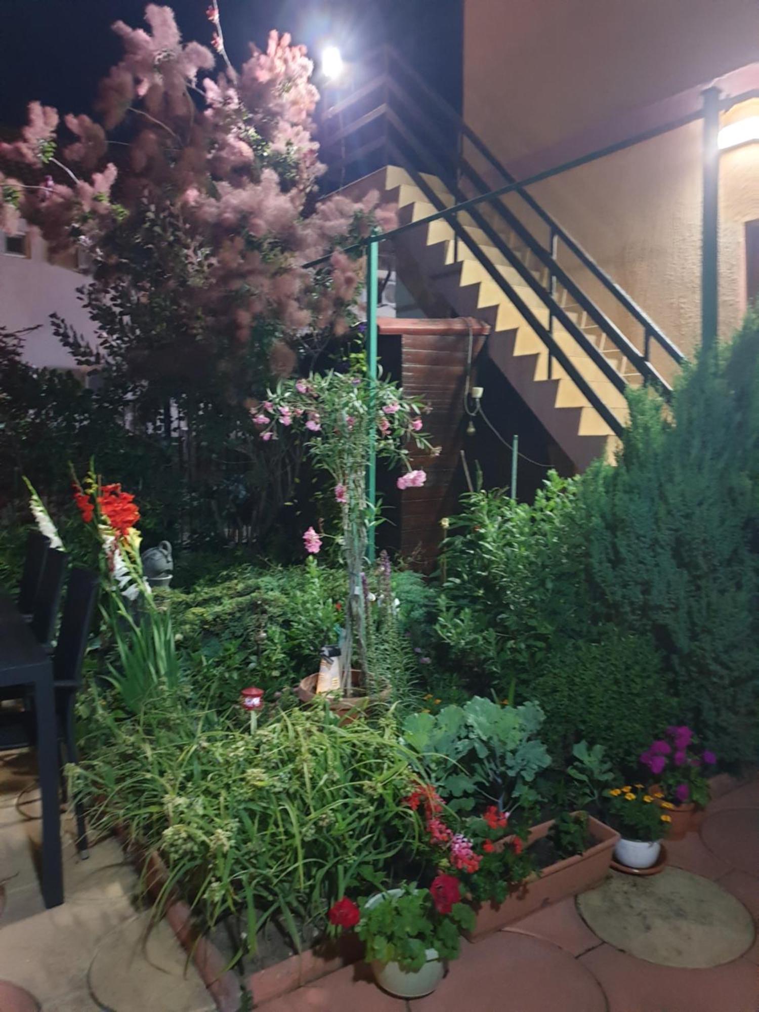 Hotel Casa Mary Costinesti Exterior foto
